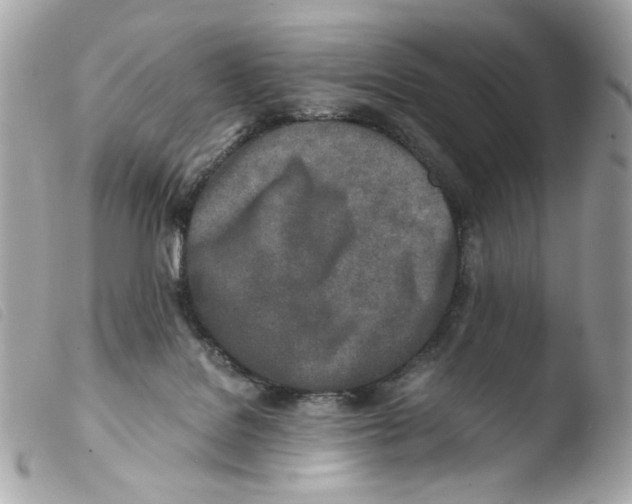 X0000103480076200810101009