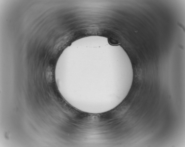 X0000103480080200810101009