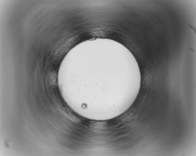 X0000103480081200810101009