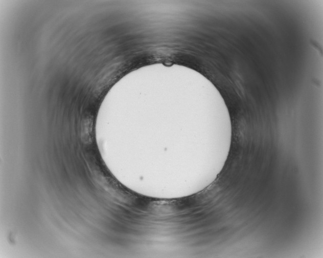 X0000103480082200810101009