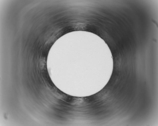 X0000103480083200810101009