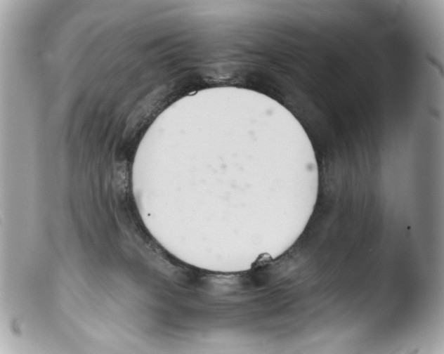 X0000103480085200810101009