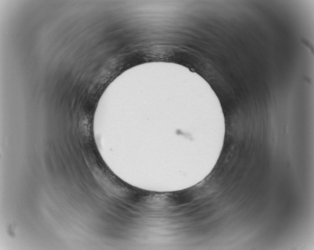 X0000103480086200810101009