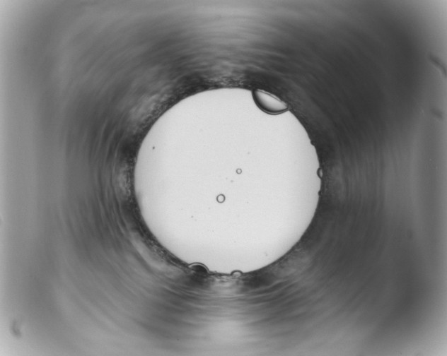 X0000103480088200810101009