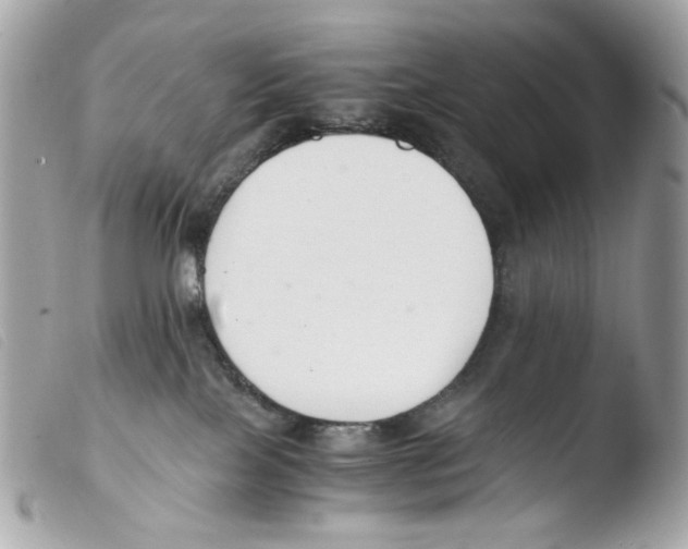 X0000103480089200810101009