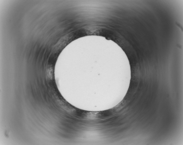 X0000103480090200810101009