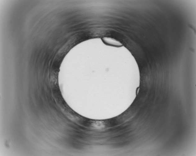 X0000103480091200810101009