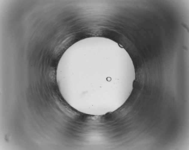 X0000103480092200810101009