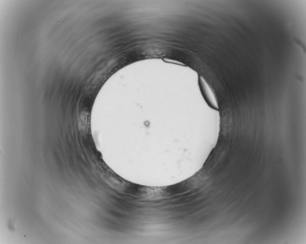 X0000103480093200810101009
