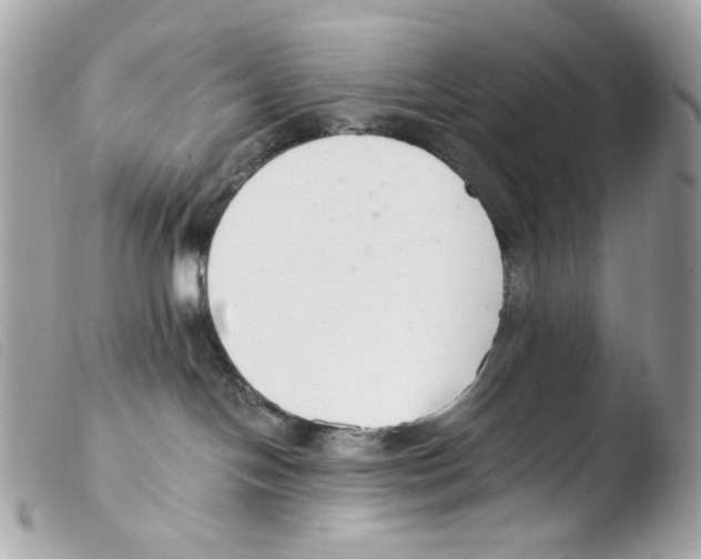 X0000103480094200810101009