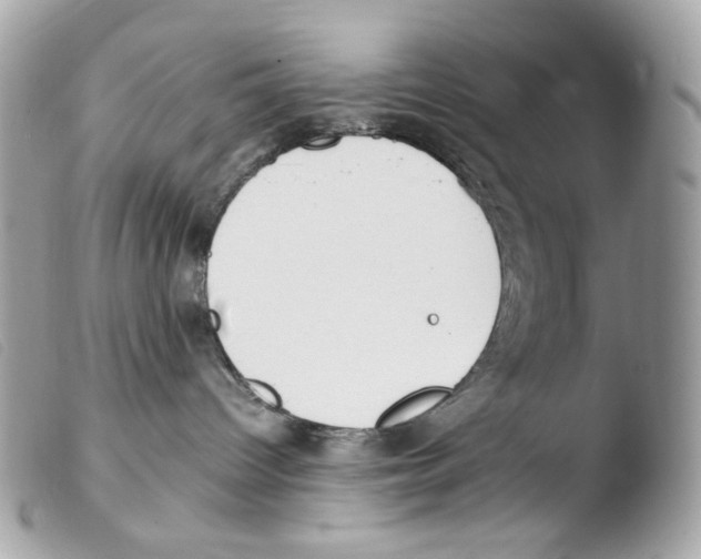 X0000103480096200810101009