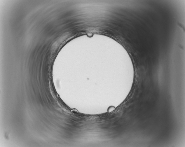 X0000103480097200810101008