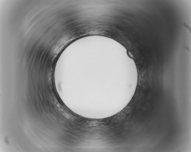 X0000103480098200810101008