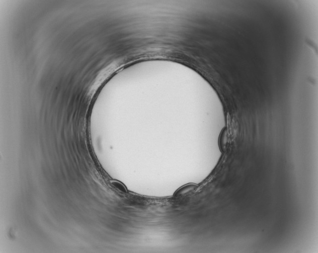 X0000103480099200810101008