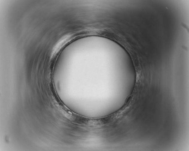 X0000103480101200810101008