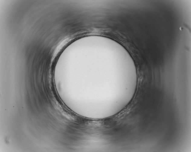 X0000103480102200810101008