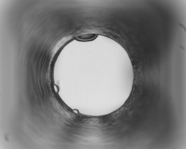 X0000103480104200810101008