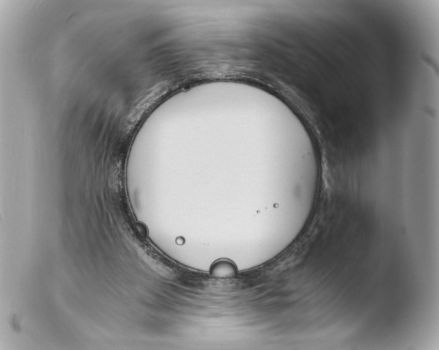 X0000103480105200810101008