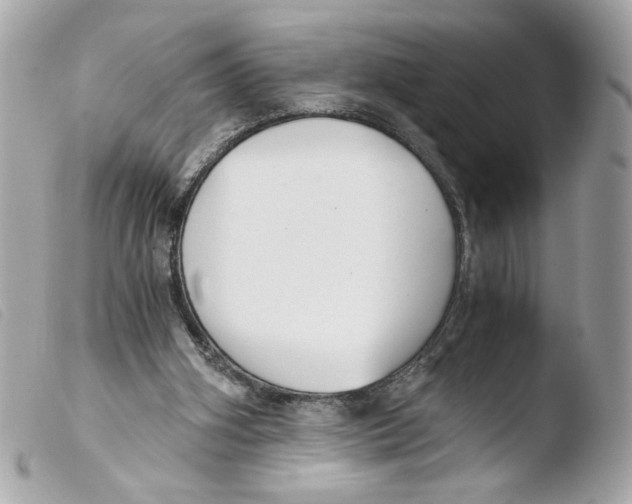 X0000103480106200810101008