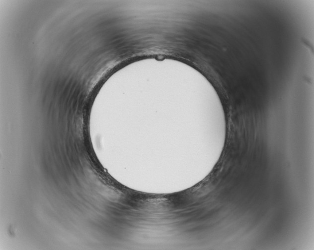 X0000103480108200810101008