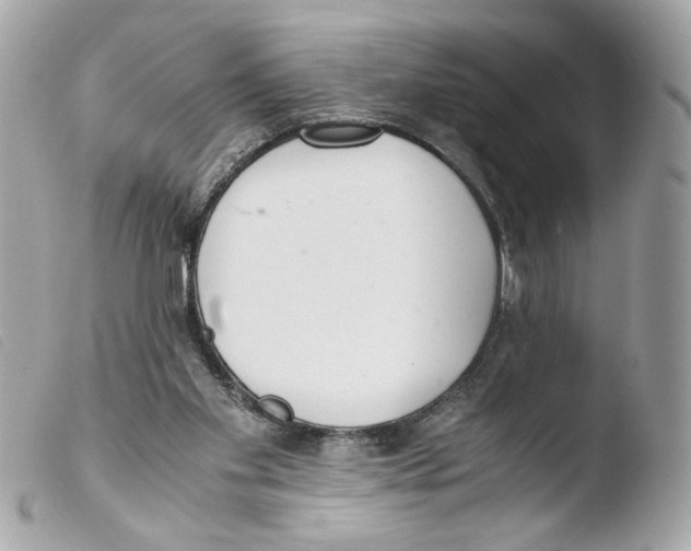 X0000103480109200810101008