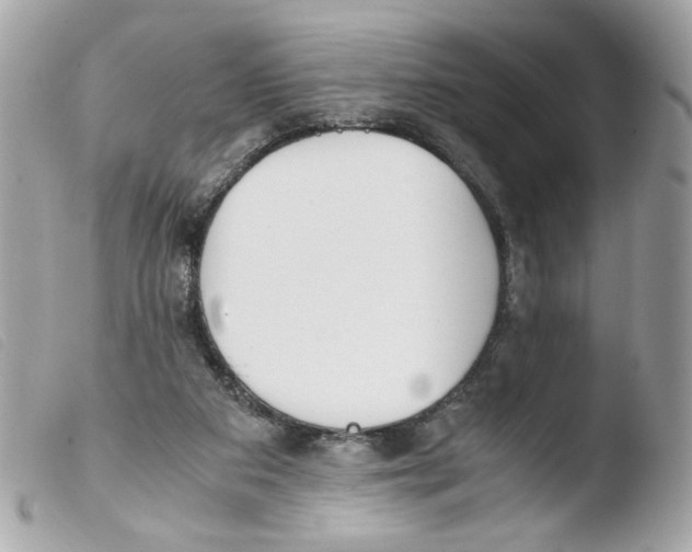 X0000103480113200810101008