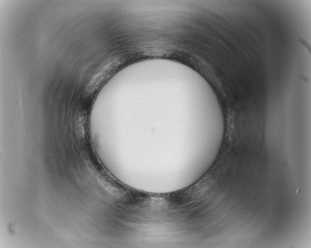 X0000103480114200810101008