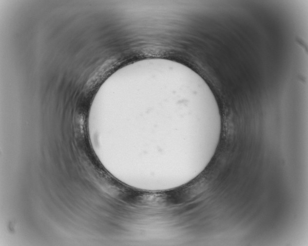 X0000103480117200810101008