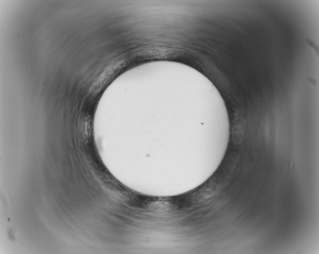 X0000103480119200810101008