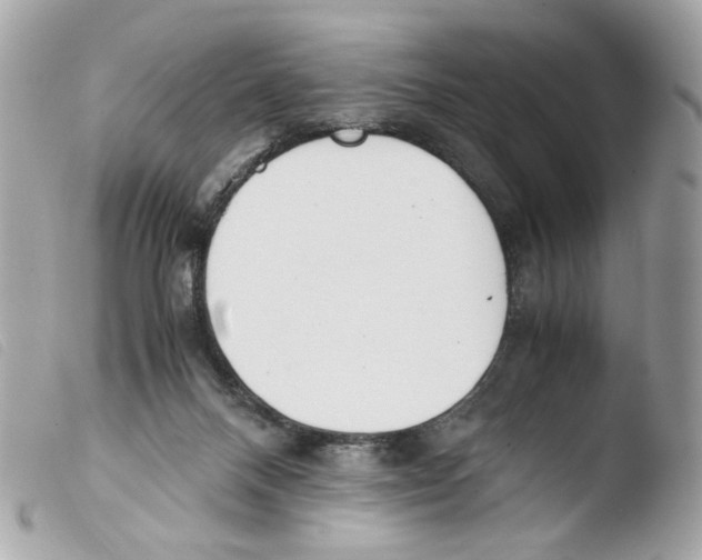 X0000103480120200810101008