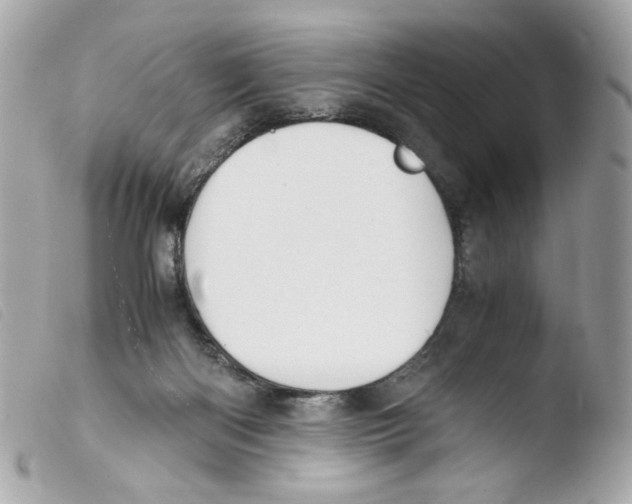 X0000103480122200810101008