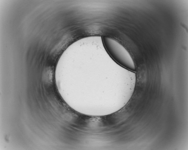X0000103480124200810101008