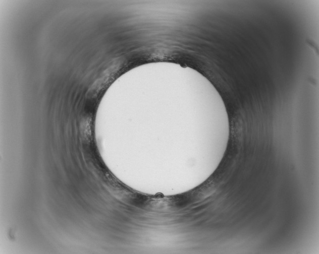 X0000103480127200810101008