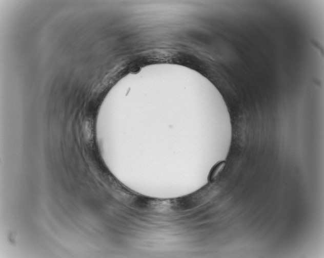 X0000103480131200810101008