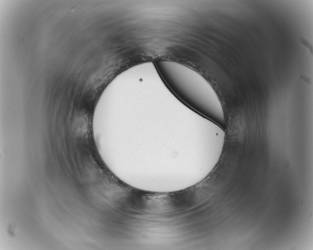 X0000103480132200810101008