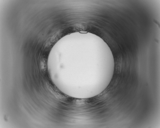 X0000103480134200810101008
