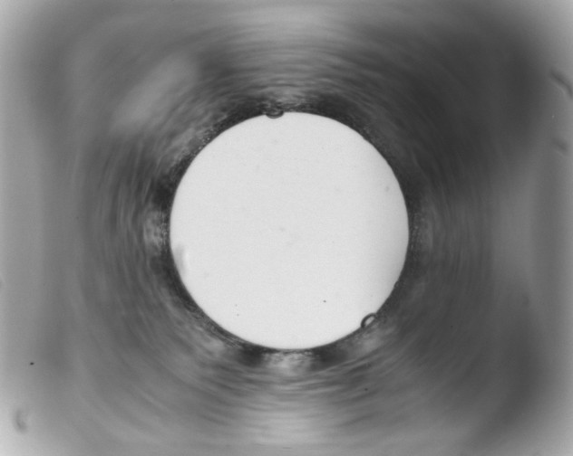 X0000103480135200810101008