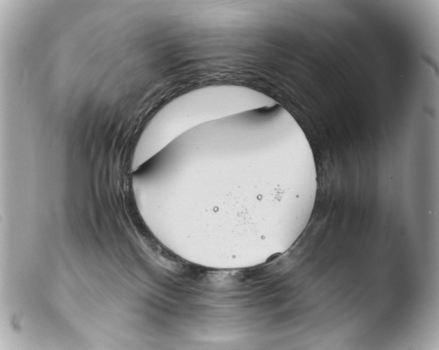 X0000103480136200810101008