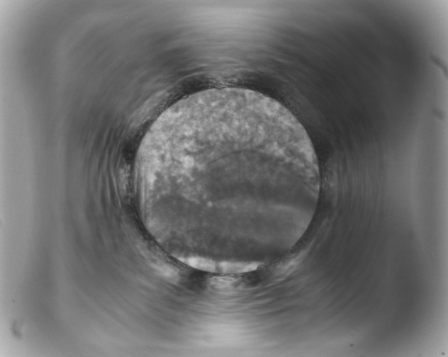X0000103480139200810101008
