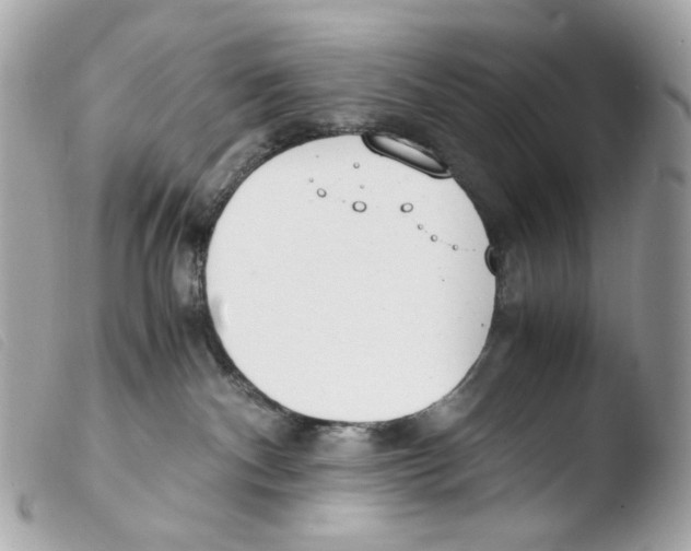 X0000103480140200810101008