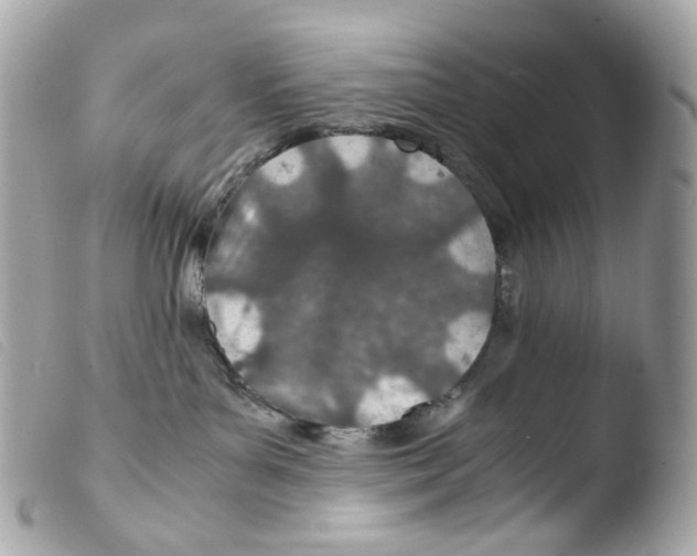 X0000103480143200810101008