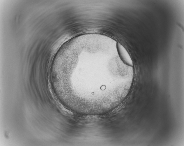 X0000103480145200810101007