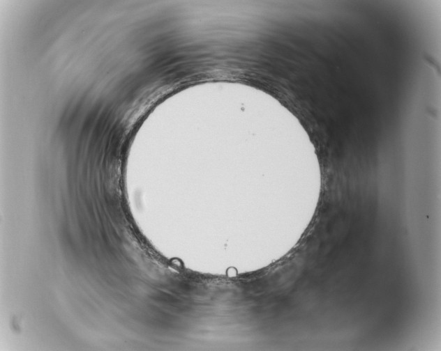 X0000103480146200810101007