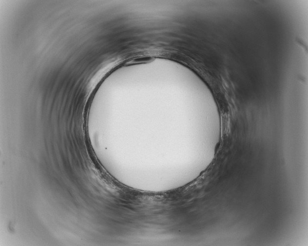 X0000103480147200810101007