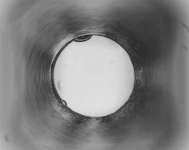 X0000103480148200810101007