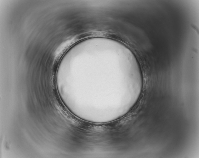 X0000103480149200810101007