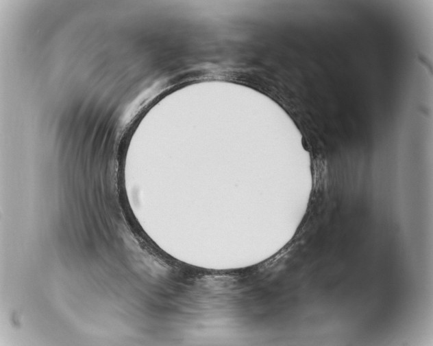 X0000103480150200810101007