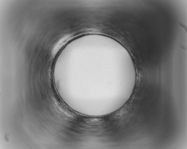X0000103480151200810101007