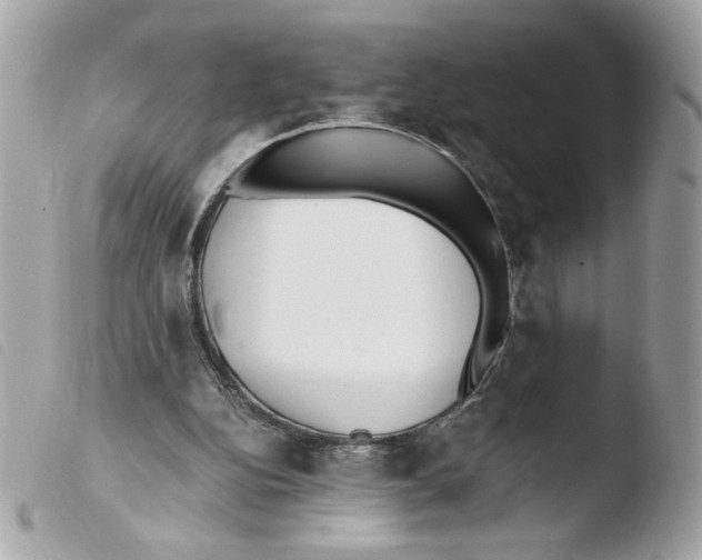 X0000103480152200810101007