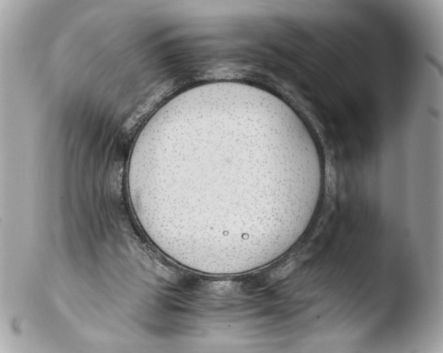 X0000103480153200810101007
